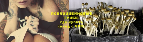 кристаллы Богданович