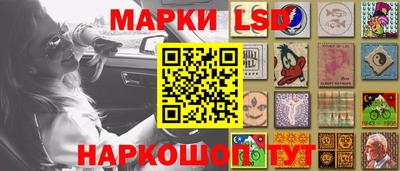 шишки Берёзовский