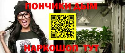 шишки Берёзовский