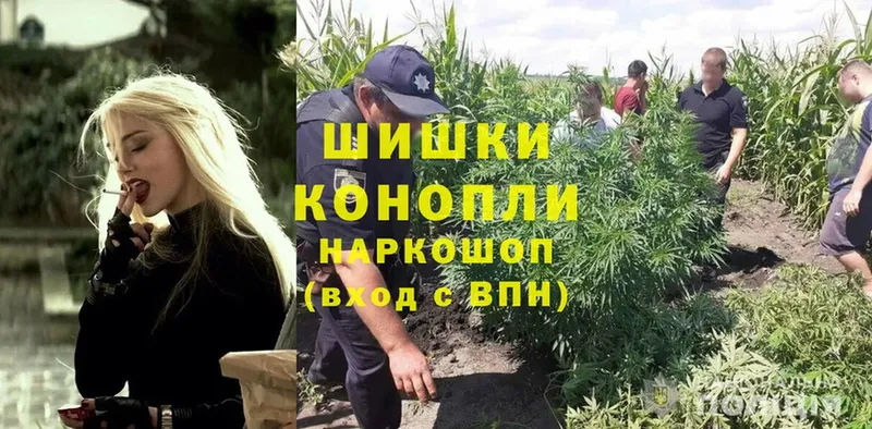 цена   Бутурлиновка  Бошки марихуана SATIVA & INDICA 